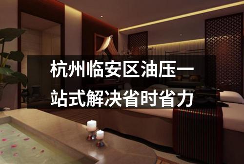 杭州临安区油压一站式解决省时省力